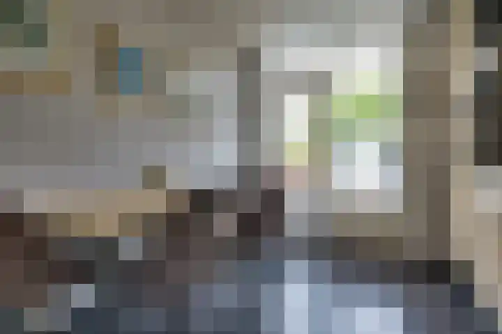 Creijenhoek 11 Rosmalen thumbnail 11