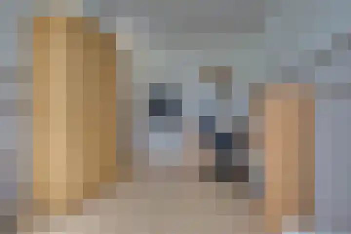 Creijenhoek 11 Rosmalen thumbnail 16