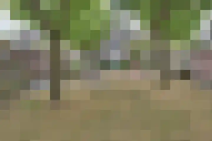 Creijenhoek 11 Rosmalen thumbnail 32