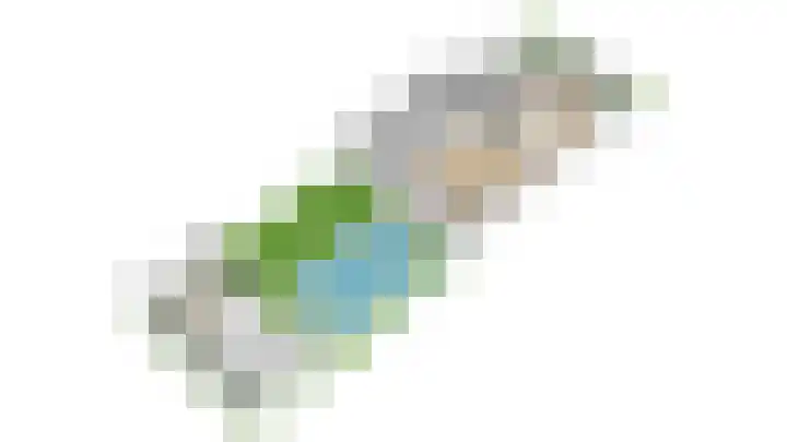 Creijenhoek 11 Rosmalen thumbnail 34