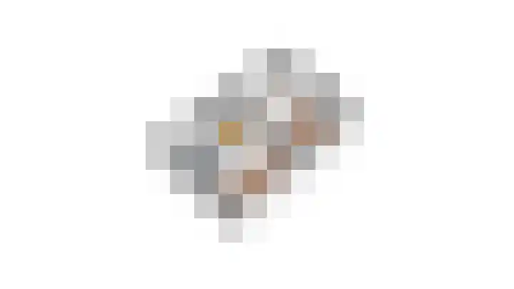 Creijenhoek 11 Rosmalen thumbnail 36