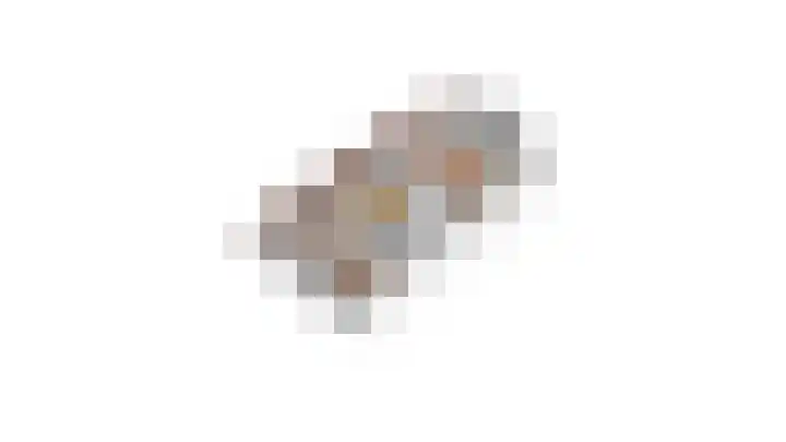 Creijenhoek 11 Rosmalen thumbnail 37