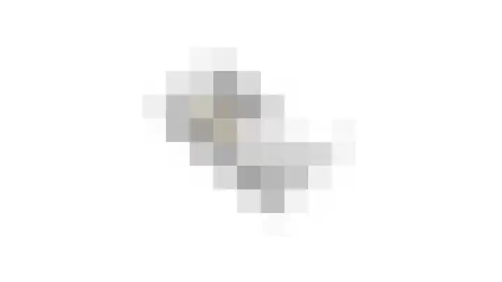 Creijenhoek 11 Rosmalen thumbnail 38