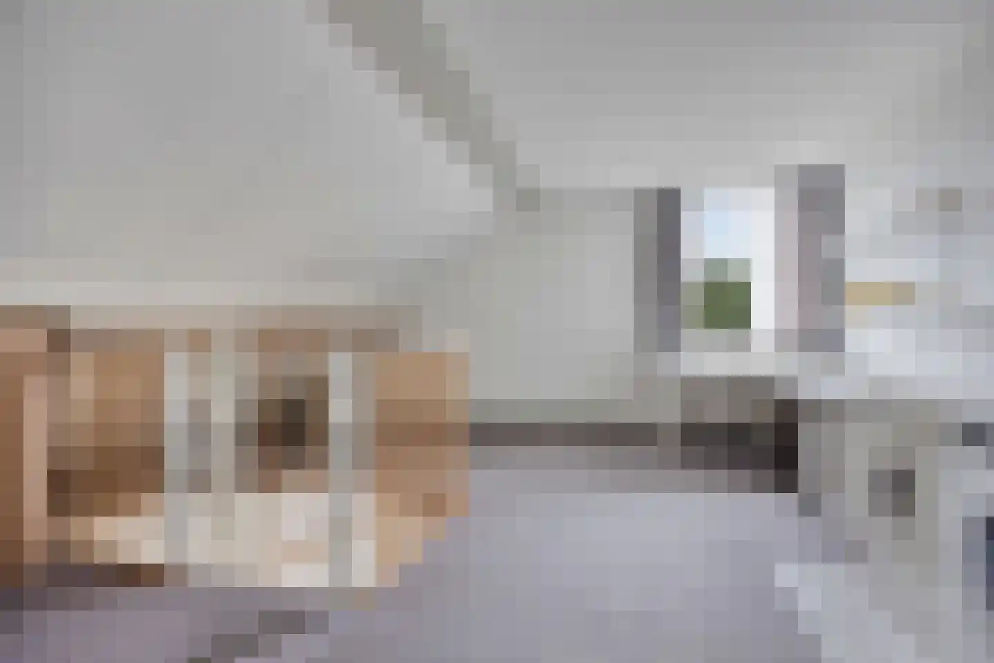 Creijenhoek 29 Rosmalen thumbnail 24