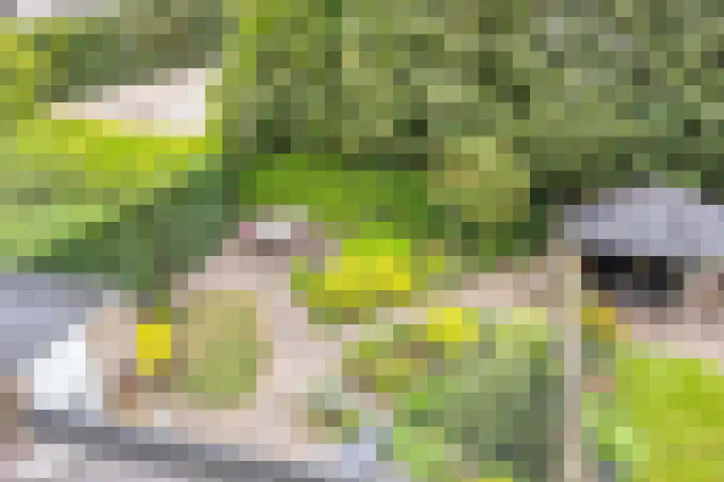 Creijenhoek 29 Rosmalen thumbnail 27