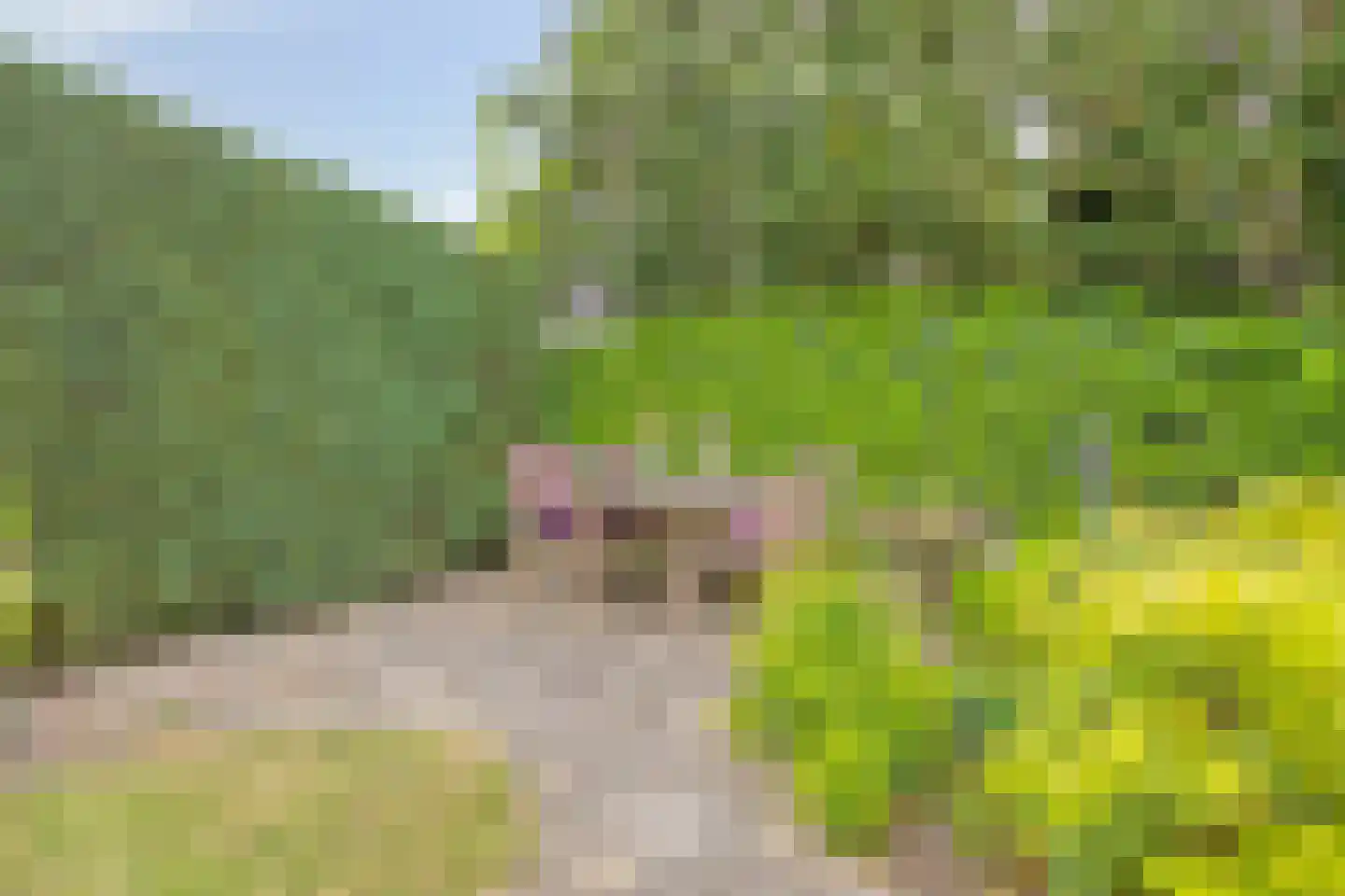 Creijenhoek 29 Rosmalen thumbnail 29