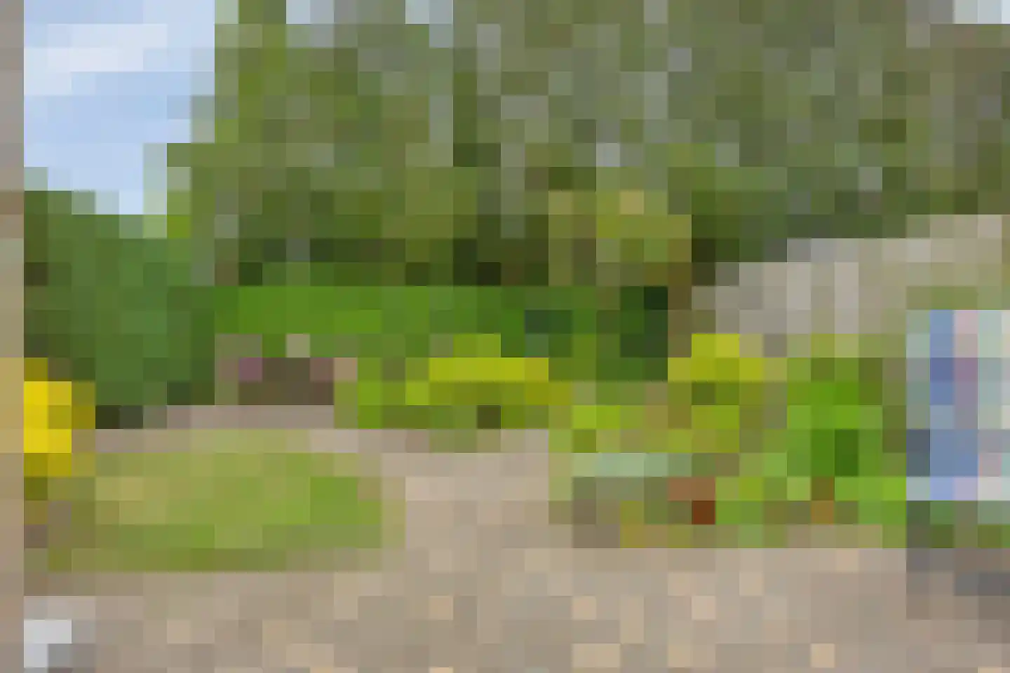 Creijenhoek 29 Rosmalen thumbnail 30