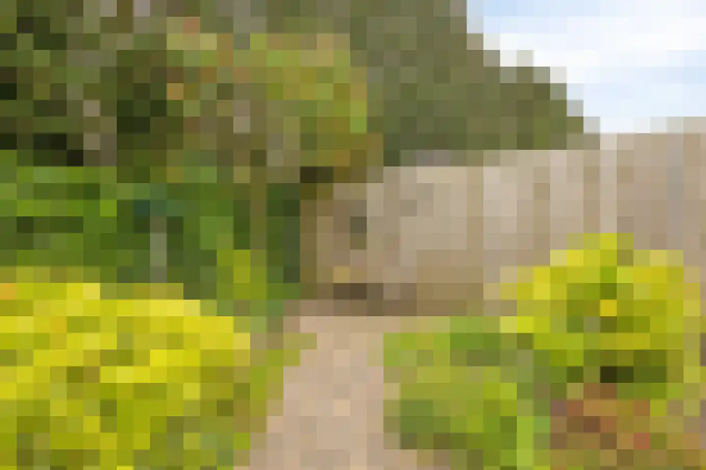 Creijenhoek 29 Rosmalen thumbnail 31