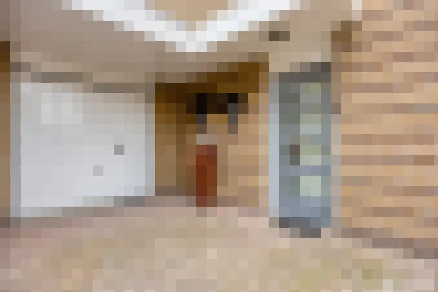 Creijenhoek 29 Rosmalen thumbnail 32