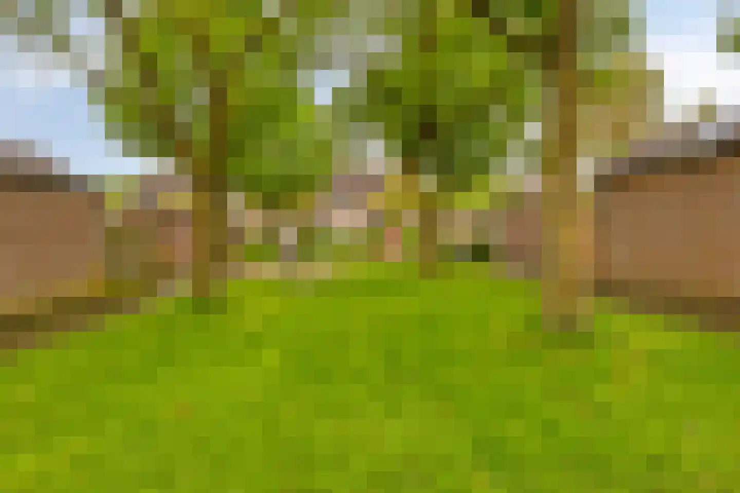 Creijenhoek 29 Rosmalen thumbnail 38