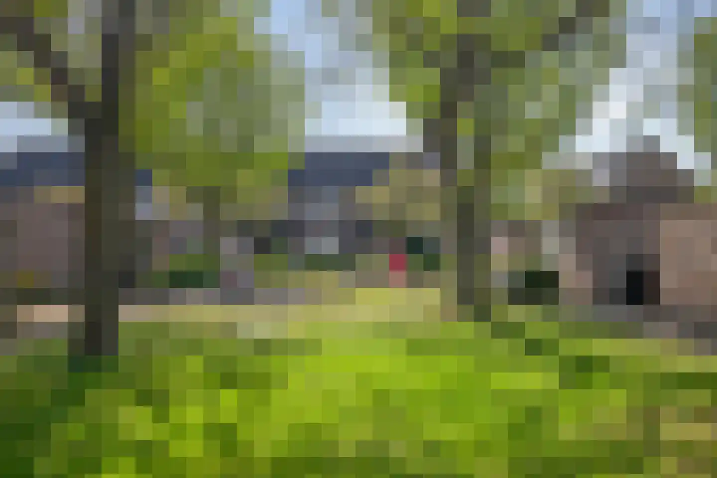 Creijenhoek 31 Rosmalen thumbnail 35