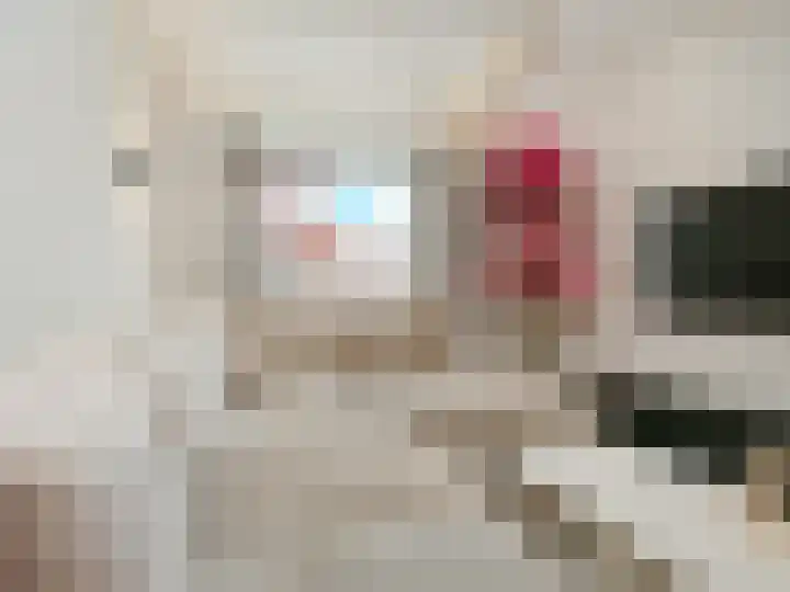 Cremerplein 17 Haarlem thumbnail 14