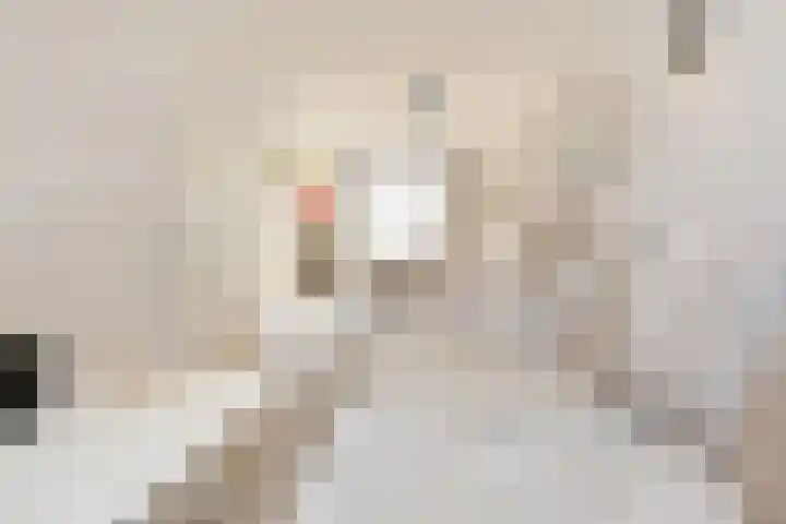 Cremerplein 17 Haarlem thumbnail 15