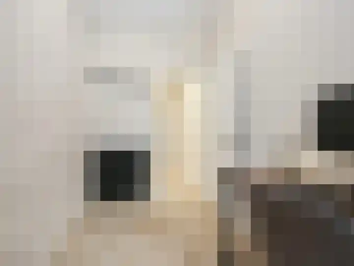 Cremerplein 17 Haarlem thumbnail 27