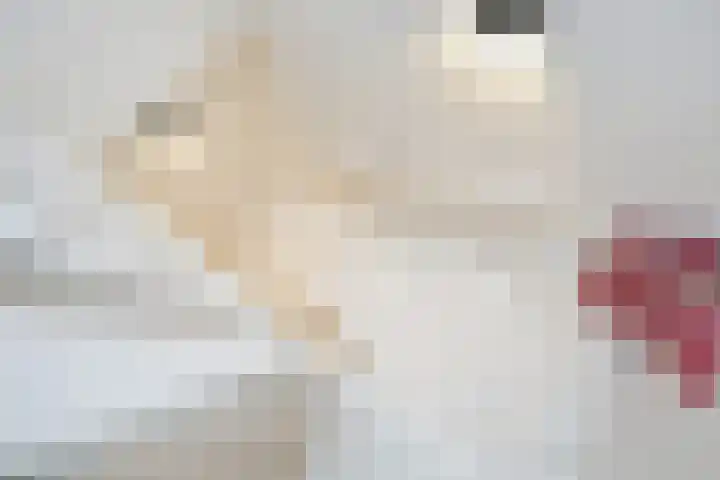 Cremerplein 17 Haarlem thumbnail 31