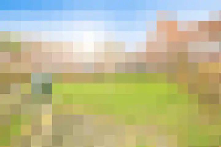 Cremerplein 17 Haarlem thumbnail 6