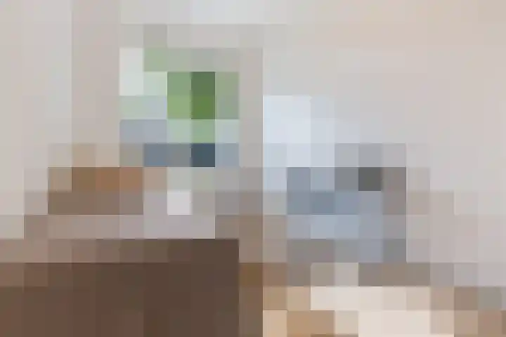 Cremerplein 26 Haarlem thumbnail 32
