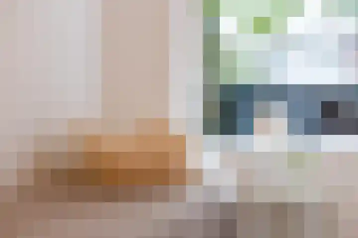 Cremerplein 26 Haarlem thumbnail 33