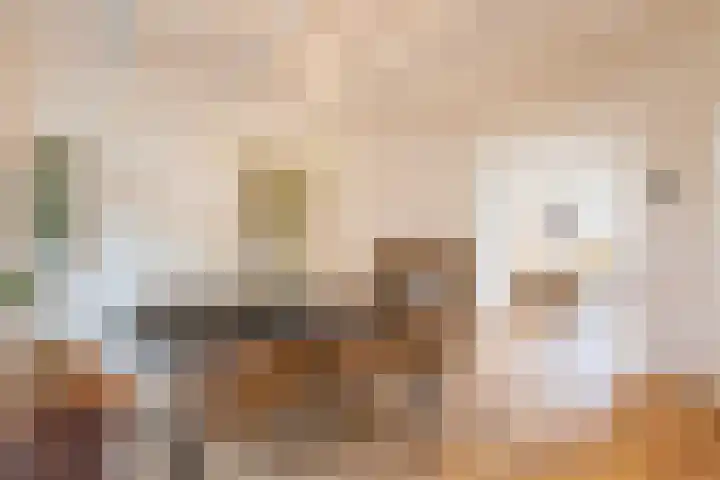 Cremerplein 26 Haarlem thumbnail 9