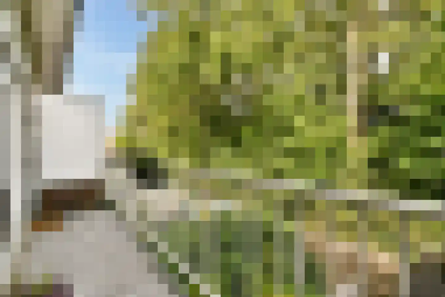 Cremerplein 34 Haarlem thumbnail 17
