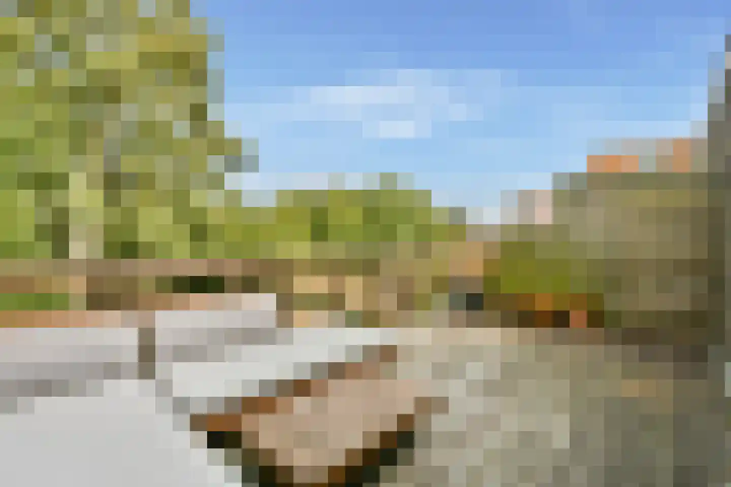 Cremerplein 34 Haarlem thumbnail 23