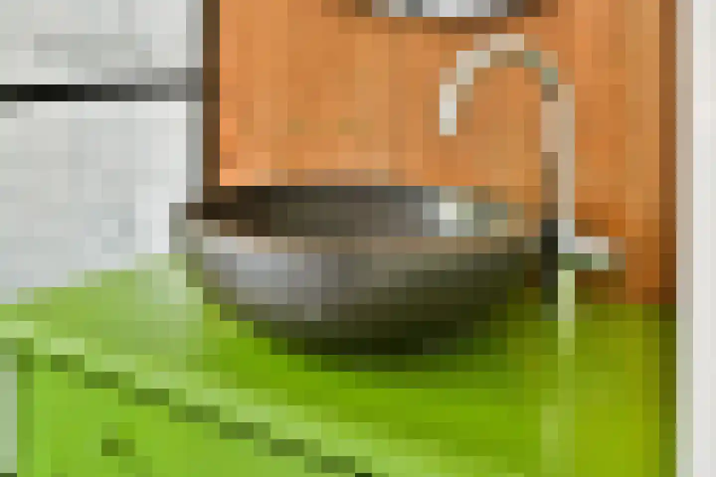 Cremerplein 34 Haarlem thumbnail 26