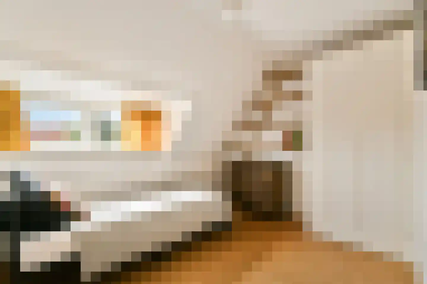 Cremerplein 34 Haarlem thumbnail 27