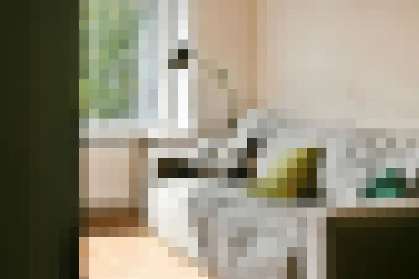 Cremerplein 34 Haarlem thumbnail 9