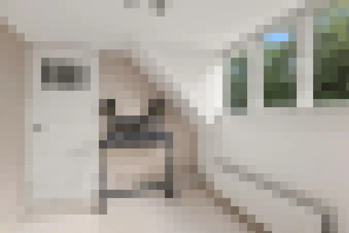 Cremerplein 65 Utrecht thumbnail 27