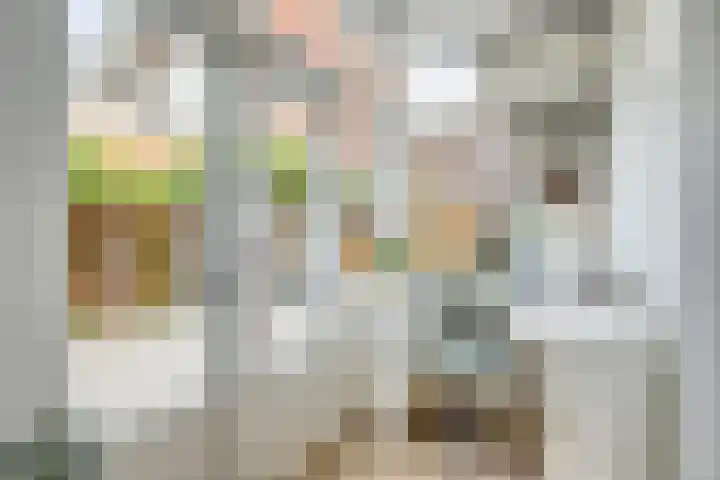 Cremerplein 68 Utrecht thumbnail 13
