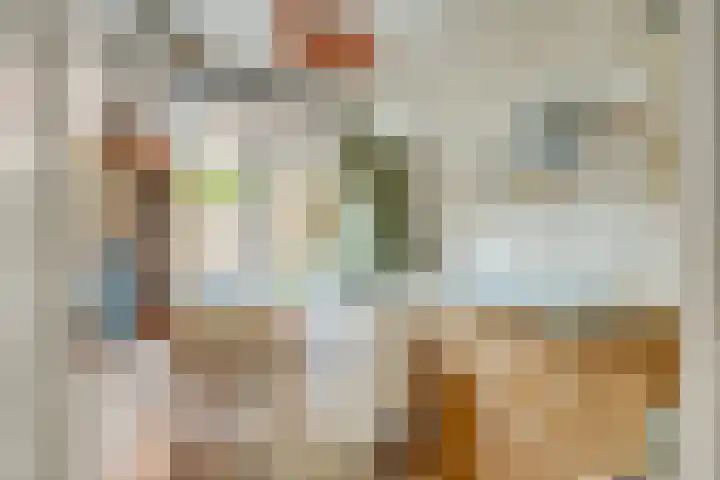 Cremerplein 68 Utrecht thumbnail 25