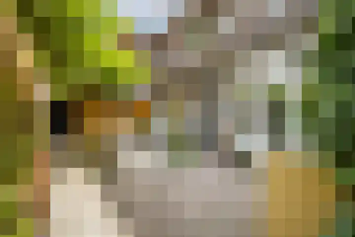 Cremerplein 68 Utrecht thumbnail 31