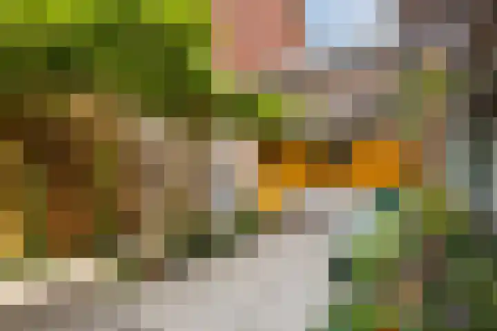 Cremerplein 68 Utrecht thumbnail 32