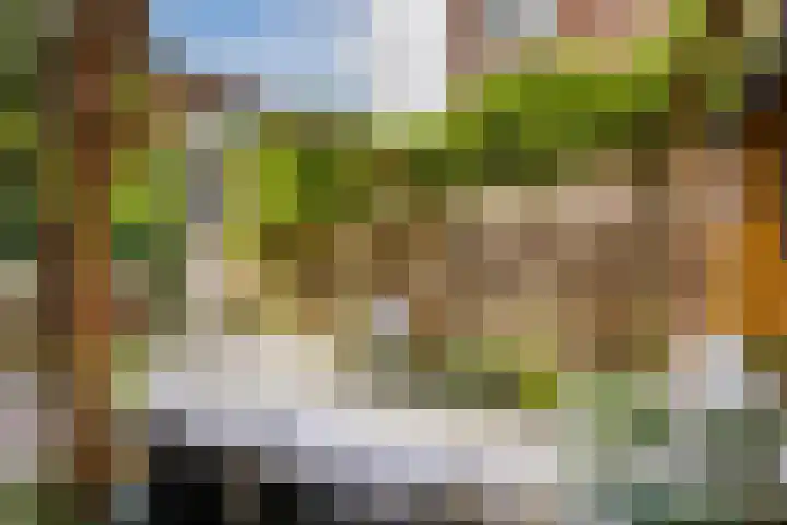 Cremerplein 68 Utrecht thumbnail 33