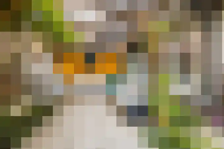 Cremerplein 68 Utrecht thumbnail 34