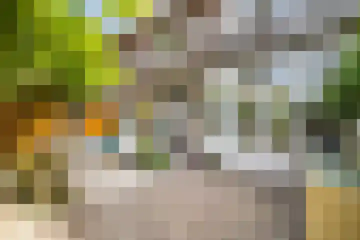 Cremerplein 68 Utrecht thumbnail 35