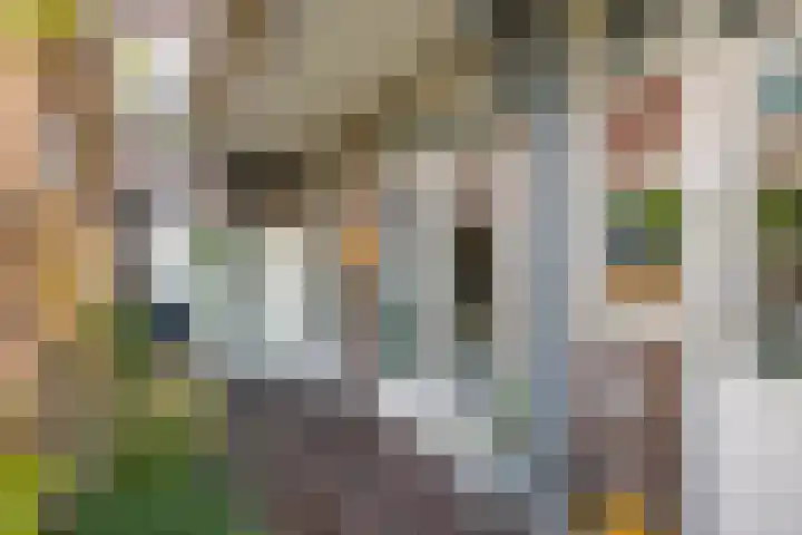 Cremerplein 68 Utrecht thumbnail 36