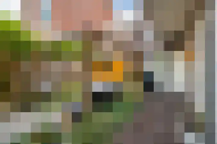 Cremerplein 68 Utrecht thumbnail 37