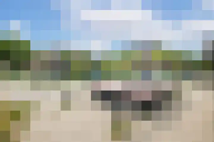 Cremerplein 68 Utrecht thumbnail 39