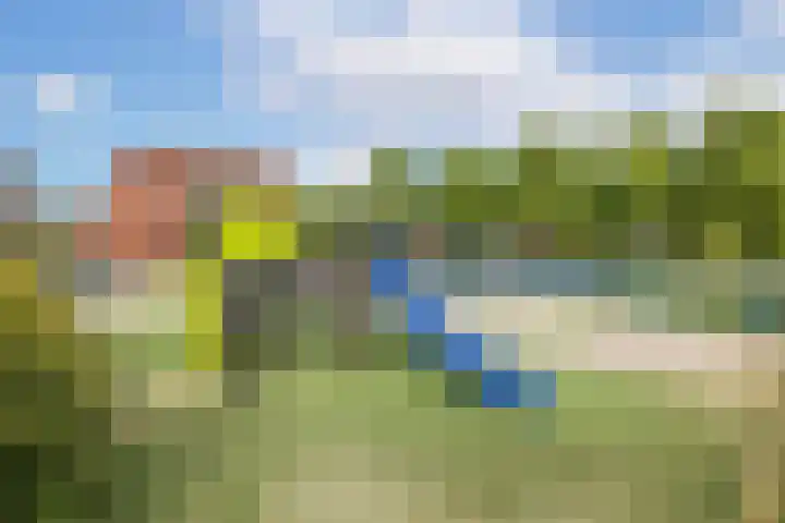 Cremerplein 68 Utrecht thumbnail 40