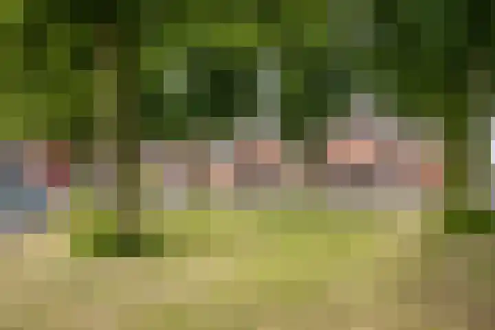 Cremerplein 68 Utrecht thumbnail 41