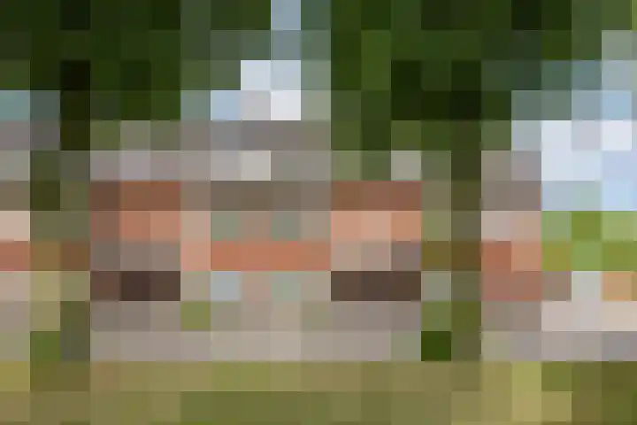 Cremerplein 68 Utrecht thumbnail 48