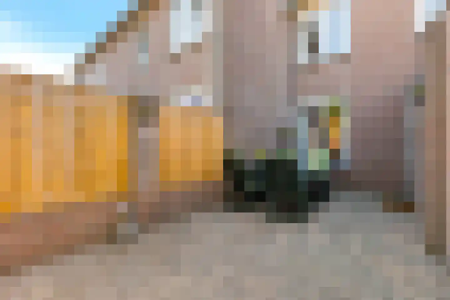 Cremershof 38 Wanssum thumbnail 26