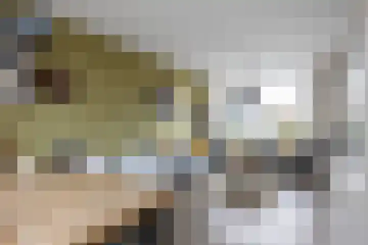 Cremersrijge 19 Bedum thumbnail 13