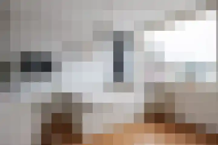 Cremersrijge 19 Bedum thumbnail 20