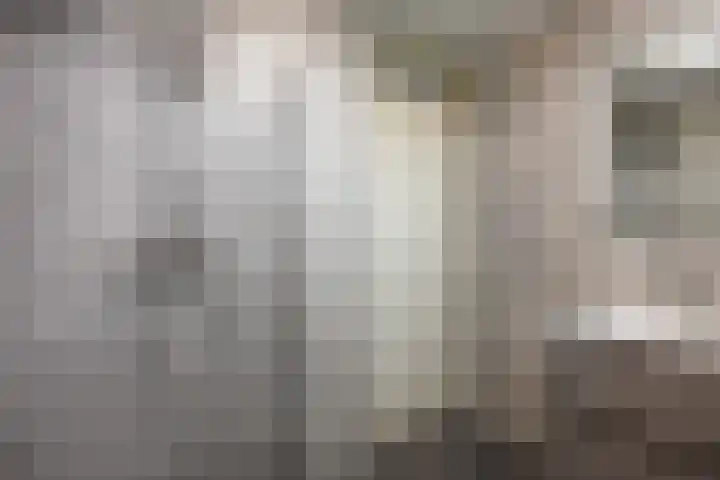 Cremersrijge 19 Bedum thumbnail 27