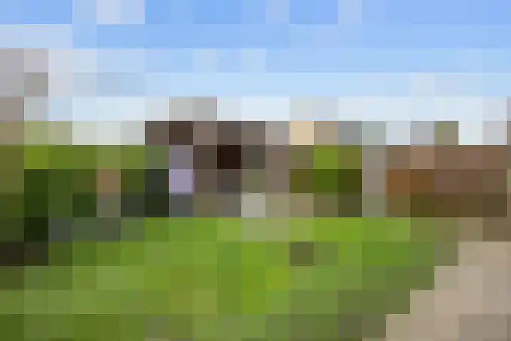 Cremersrijge 19 Bedum thumbnail 33