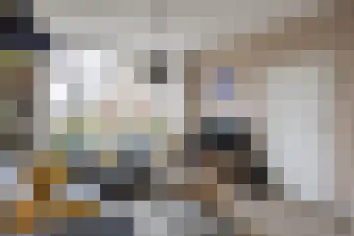Cremersrijge 19 Bedum thumbnail 9