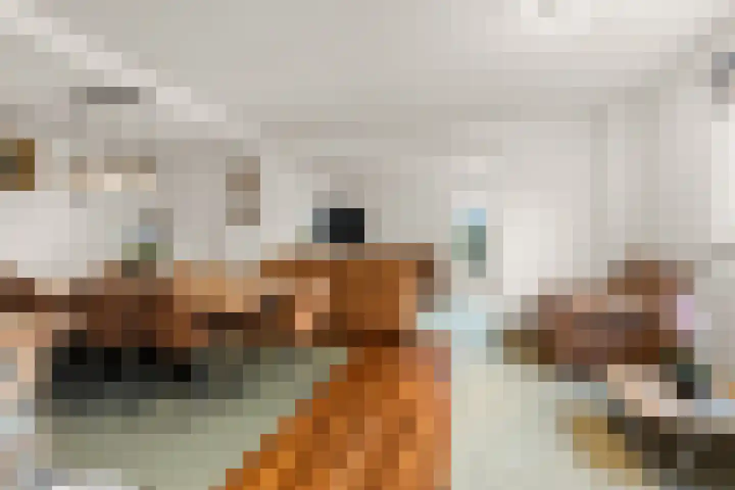 Cremerstraat 1 Voorburg thumbnail 13