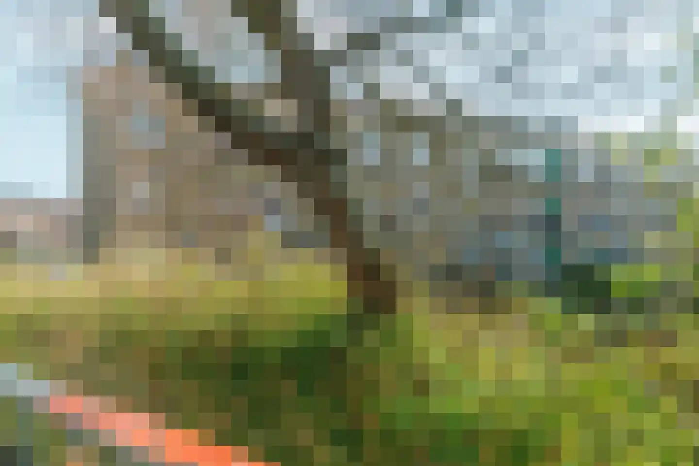 Cremerstraat 1 Voorburg thumbnail 41